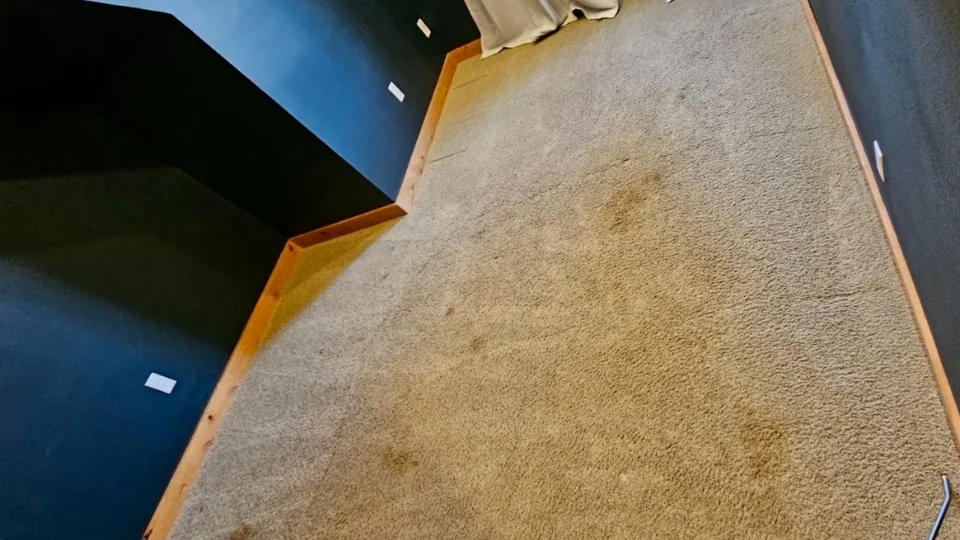 Revitalizing Carpets for a Quick Home Sale in Battle Ground, WA