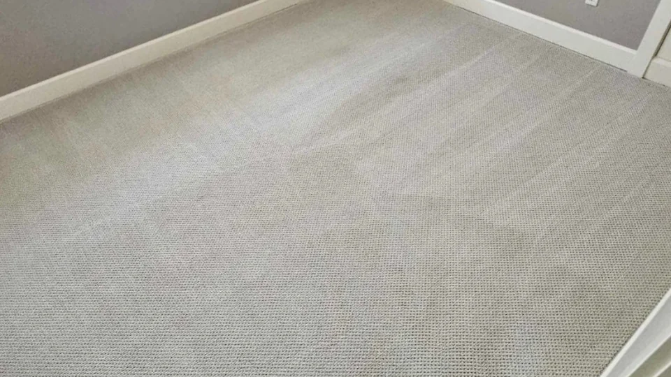 Upscale Carpet Stain Removal Success – Bedroom & Living Room Transformed