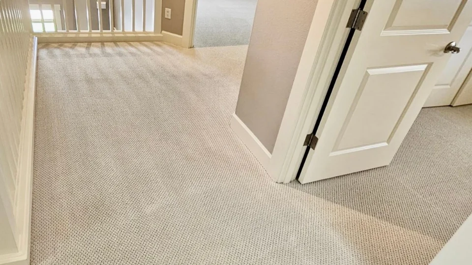 Orchards family home completely transformed with our powerful hot water extraction.