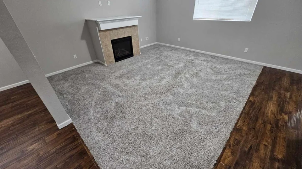 Professional Carpet Cleaning in Hazel Dell