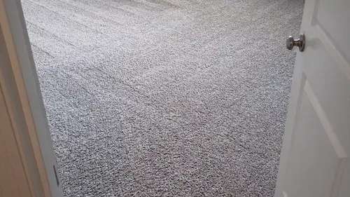 Salmon Creek WA Carpet Cleaning Case Study: Amazing Before & After