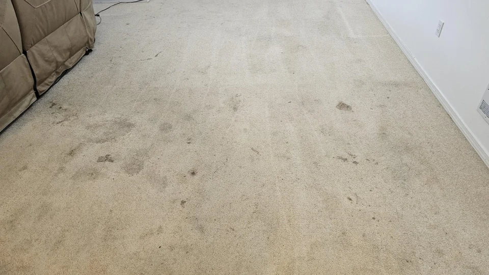 Revitalizing a Family Home in Carter Park, Vancouver WA