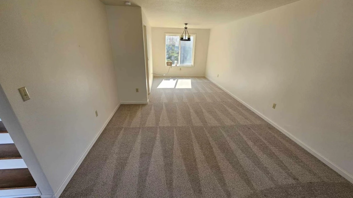 Dramatic Carpet Cleaning Transformation for a Vancouver WA Family Home